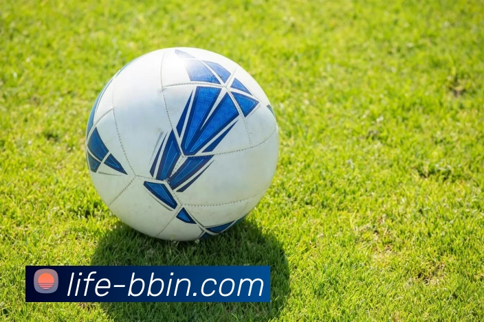 BBIN体育投注APP 体育赛事宣传图